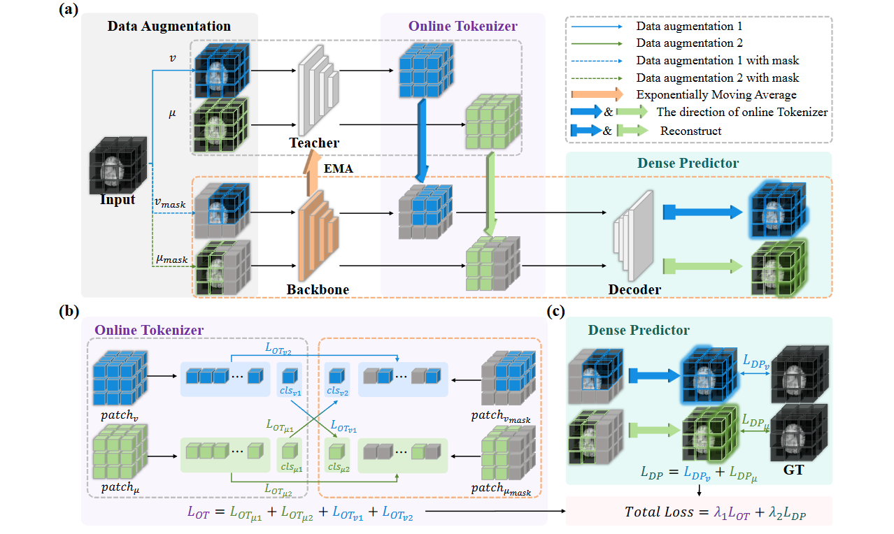 Online Self-distillation and Self-modeling for 3D Brain Tumor Segmentation